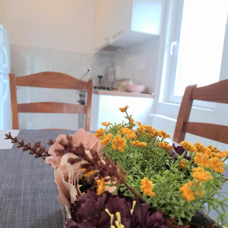 Open Sea Apartmani Grebaštica 외부 사진